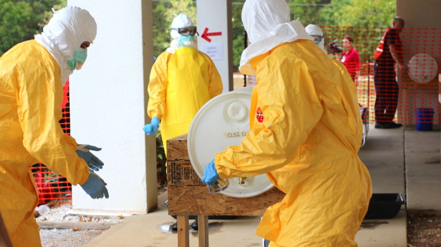Microscopic view of the Ebola virus