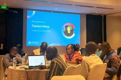 Gabon climate delegation in Dakar