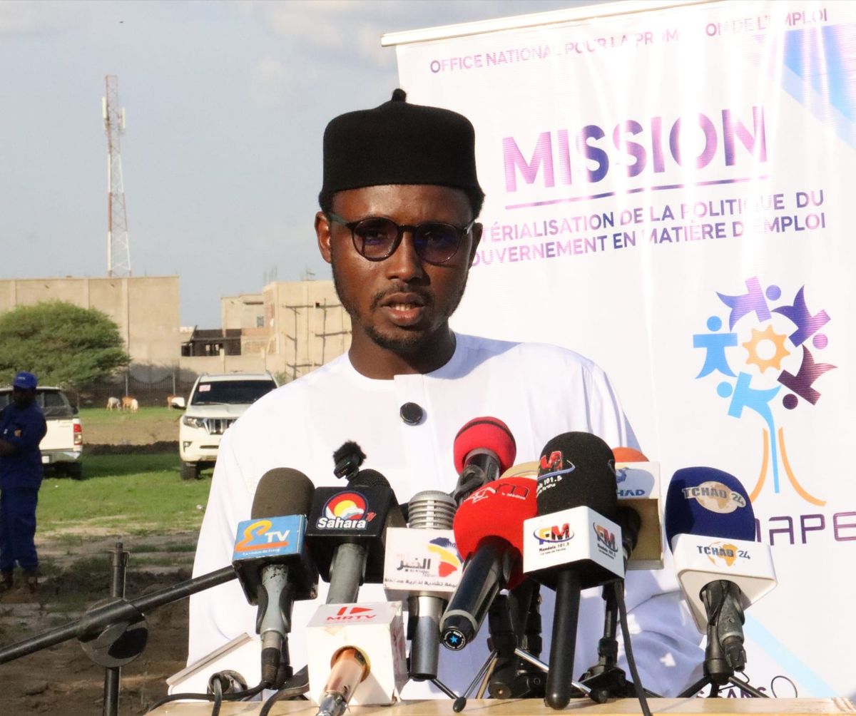 young Tchad entrepreneurs embrace green jobs in N'Djamena