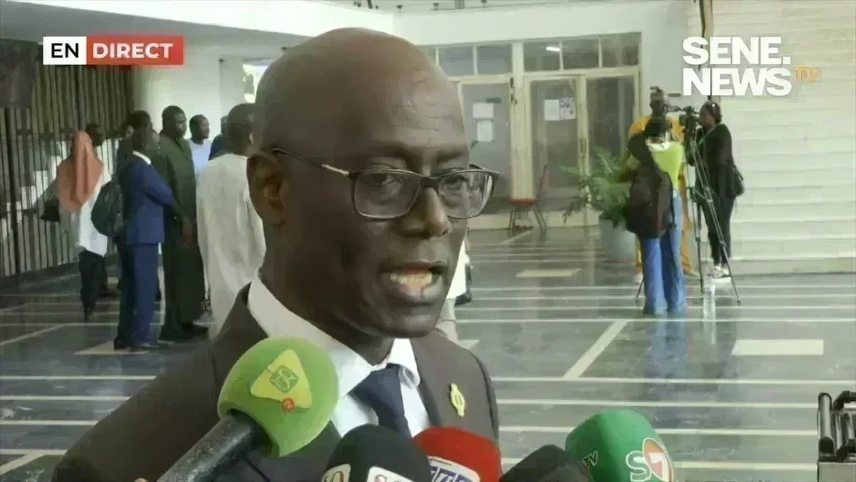 Thierno Alassane Sall during assembly session Thierno Alassane Sall speaking during extraordinary assembly session